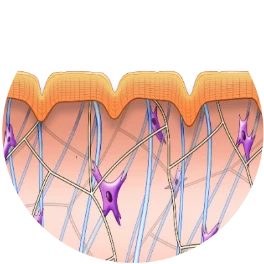 beforeexilis1587564244original